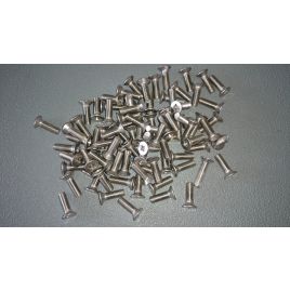 Metaalschroef RVS A2 - M5x16 mm. Kruiskop