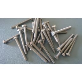 Tapbout RVS A2 M8x80mm.