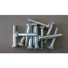 Moerbout verzinkt M10x60mm.