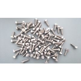 Tapbout RVS A2 M6x16mm.