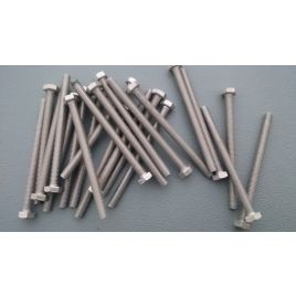 Tapbout RVS A2 M6x80mm.