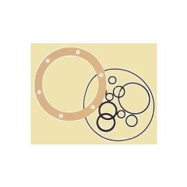 057036 Seal voor GM0 stuurpomp 17cc.