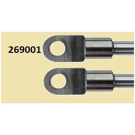 269001 Set (2x) Losse ogen RVS 316 M8.