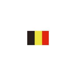 BLG3045 Belgische vlag - 300 x 450 mm.