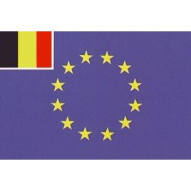 EGBLG4060 Europese vlag met België inzet - 400x600 mm.