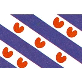 FR2030 Provincievlag Friesland - 200 x 300 mm.