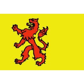 ZH2030 Provincievlag Zuid-Holland - 200 x 300 mm.