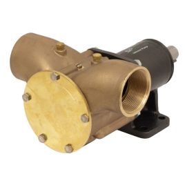 66-10-13177-01 Zelfaanzuigende F9B3000TSS bronzen impellerpomp.