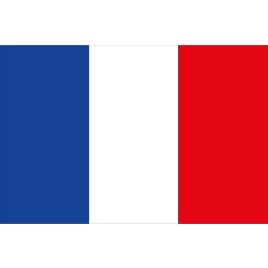 FRA2030 Franse vlag - 200x300 mm.