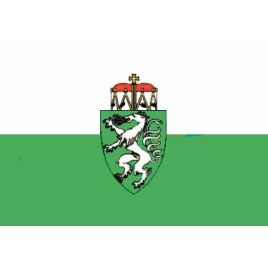 STM2030 Deelstaatvlag Steiermark AT - 200x300 mm.