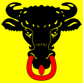 URI2030 Kantonvlag URI CH -200x300 mm.